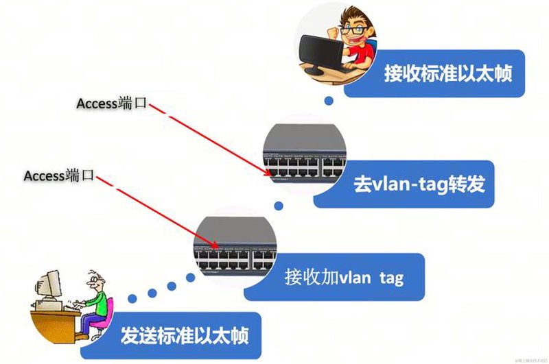 深耕网络技术服务：推动温州企业数字化转型